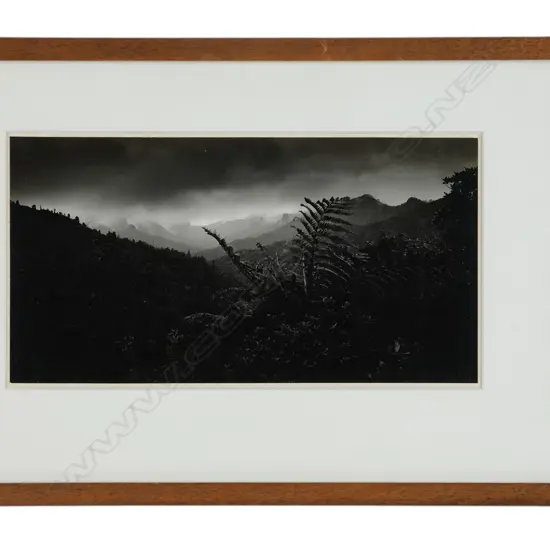 John Fields (1938-2013) ‘Coroglen road, Coromandel Peninsula’, 1971/1976